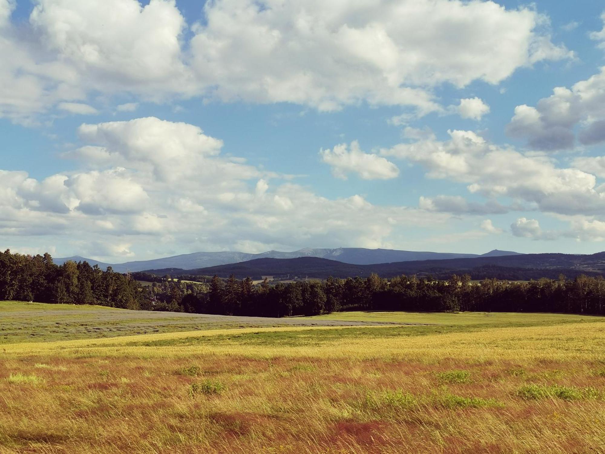 Agroturystyka U Swiatkow Stara Kamienica Exterior photo